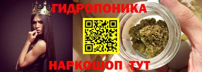 гидропоника Кинель