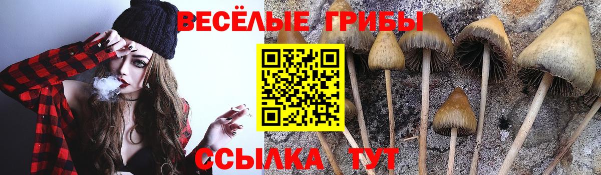 Коркино  Галлюциногенные грибы Cubensis  Вход с VPN  Галлюциногенные грибы GOLDEN TEACHER 
